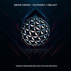 Plethora (Monojoke Pres. Amaare Remix)