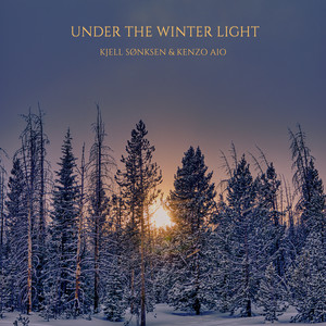 Under The Winter Light