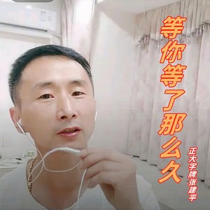 等你等了那么久
