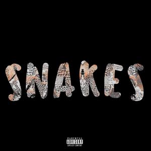 Snakes (feat. Kenyon Lee) [Explicit]