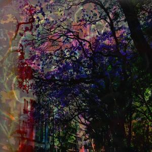 violets(feat. feelnum)