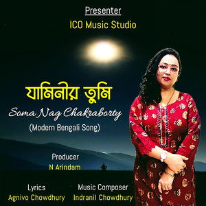 যামিনীর তুমি