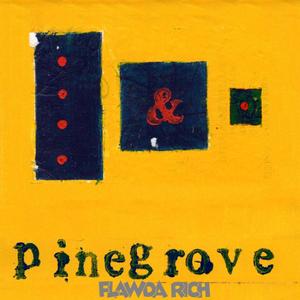 PINEGROVE (Explicit)