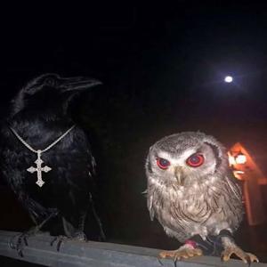 X n O's (feat. Killion & 33WOODZ) (Explicit)