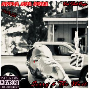 I Like You (feat. Big P) (Remix|Explicit)