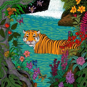 Tiger in the River