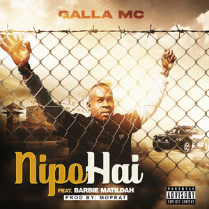 Nipo Hai