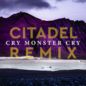 Citadel (Richey McCourt Remix)