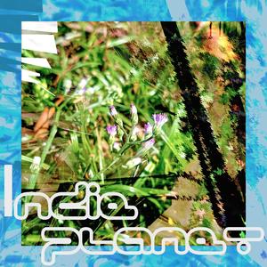 Indie planet