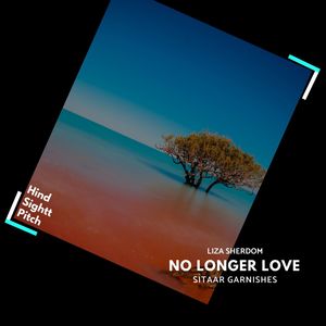 No Longer Love (Sitaar Garnishes) (Original Mix)
