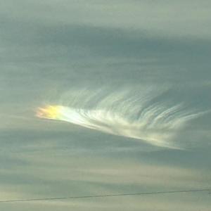 Silent Beef (Explicit)