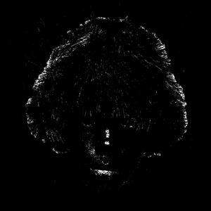 Tree Trunks (feat. Suave Dubois) (Explicit)