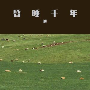 是可