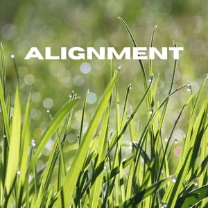 Alignment