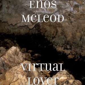 Virtual Lover