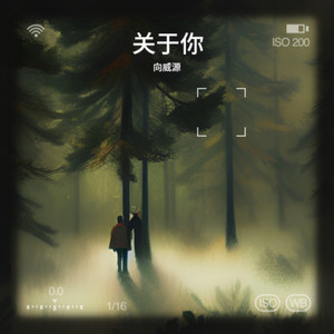 关于你