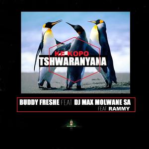 Ke kopo Tshwaranyana (feat. Dj max  molwane SA & Rammy)