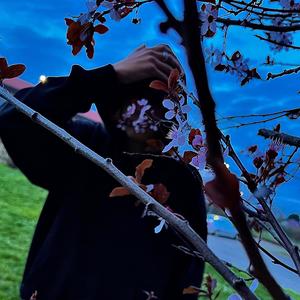 Nachts (feat. Shorteh Taunton) (Explicit)