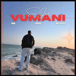VUMANI (feat. ABA, Tashie & Batlogele)