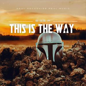 This is the Way (Radio Edit)