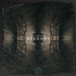 Mirrors