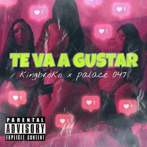 TE VA A GUSTAR (feat. Kingbroko) (Explicit)
