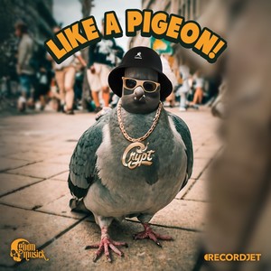Like A Pigeon (Explicit)
