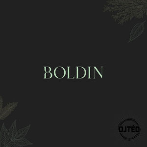 BOLDIN (Explicit)