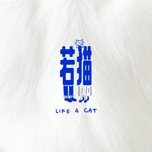 若猫