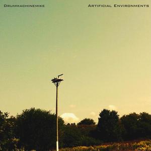 Artificial Environments