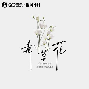 毒草花DJ版