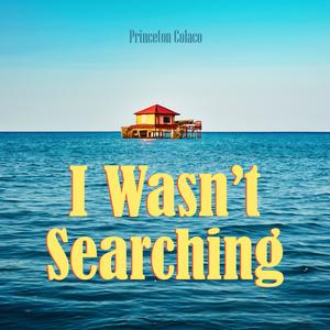 I Wasn't Searching