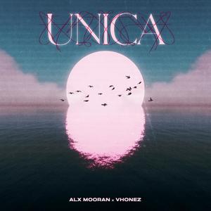 Única (feat. Vhonez)