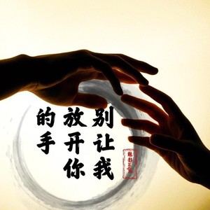 别让我放开你的手 (Live)