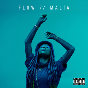 FLOW (Explicit)