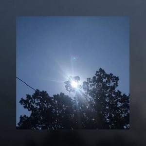 Midnight Conversation (with OcelotPrincess)