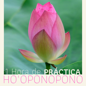 1 Hora de Práctica Ho'oponopono - Meditación del Perdón y Sanación