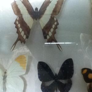 kreative perspektiven