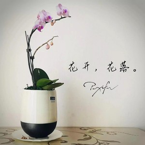 假如春天到来封面