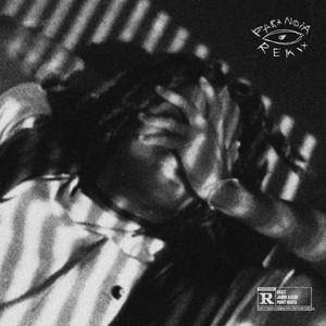 PARANOIA (with FEVER 333 & Point North) (Remix|Explicit)