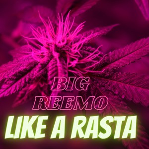 Like A Rasta (Explicit)
