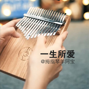 一生所爱(卡林巴琴)