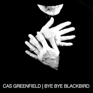 Bye Bye Blackbird (Live)