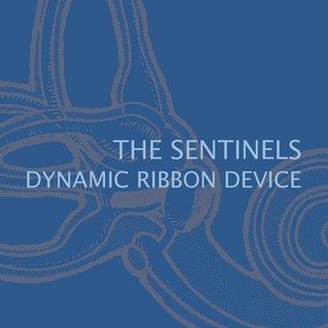 Dynamic Ribbon Device (Explicit)