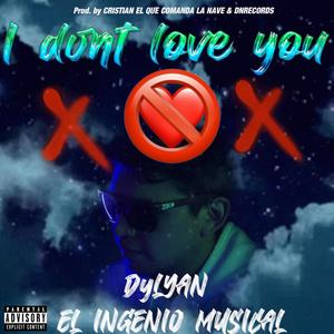 I Don't Love You (Explicit)