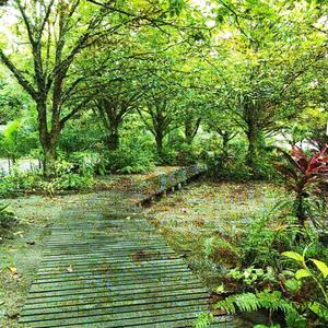 Five Explosions Gives You Color