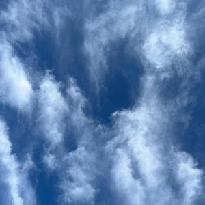 Mo Motion (Explicit)