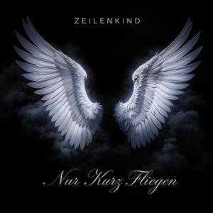 Nur Kurz Fliegen (feat. ZeilenKind) (Explicit)