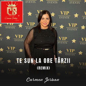 Te Sun La Ore Tarzii (Remix)