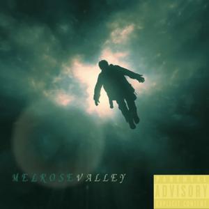 Melrose Valley (feat. Polo B) [Explicit]